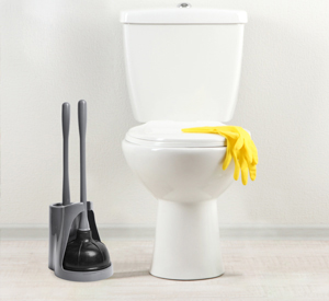 Toilet Brush(300x275)
